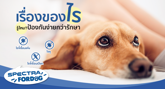 เรื่องของไร รู้ไหม ป้องกันง่ายกว่ารักษา